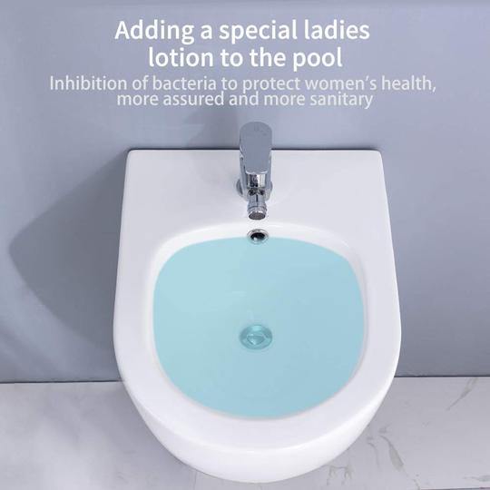 Homelody Bidet Sospeso in Ceramica Sanitaria di Alta Qualità Senza Rubinetteria per Bidet - Homelody-it